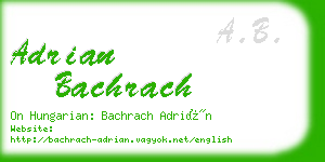 adrian bachrach business card